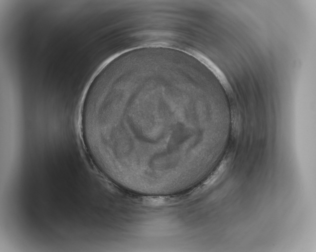 X0000100920956200807221113