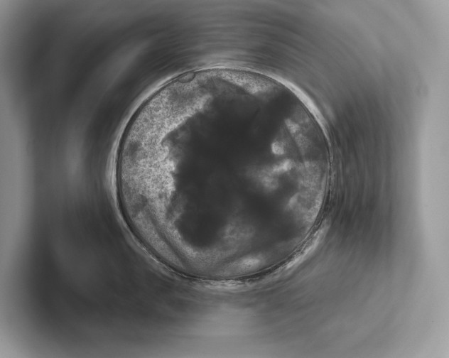 X0000100920957200807221113