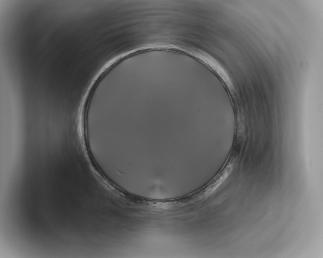X0000100920958200807221113