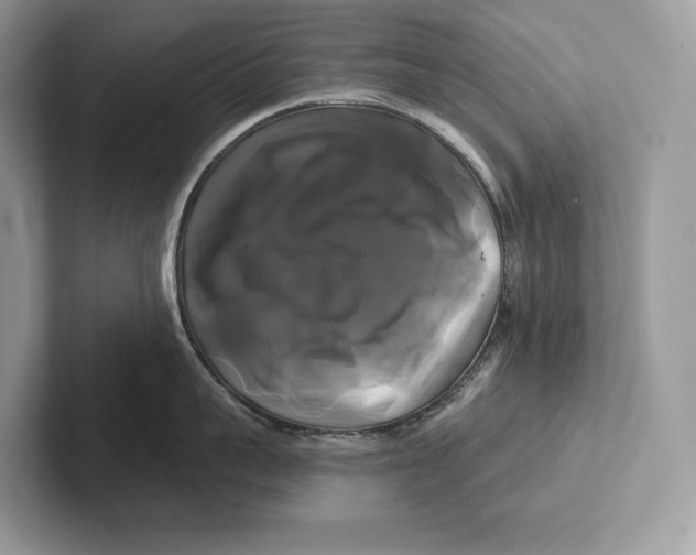 X0000100920959200807221113