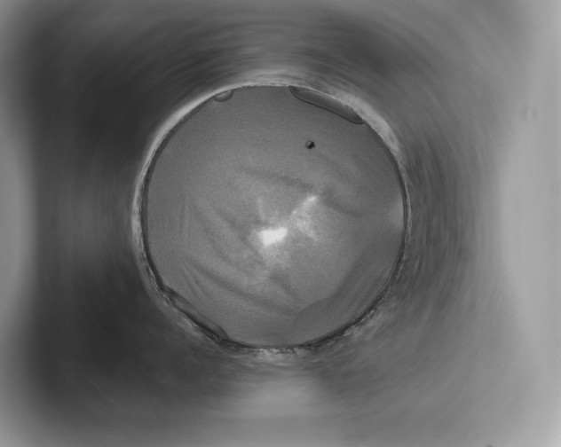 X0000100920960200807221113
