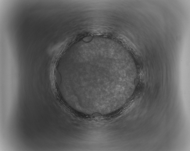 X0000100920961200807221112