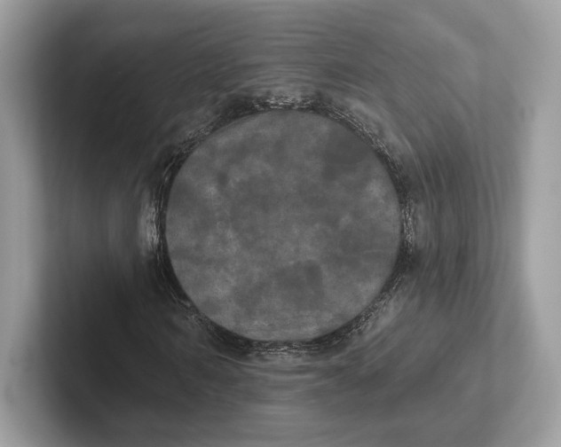X0000100920962200807221112