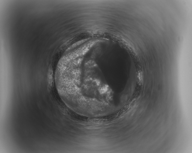 X0000100920963200807221112