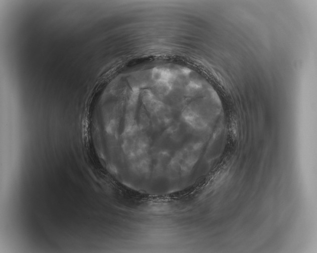 X0000100920964200807221112