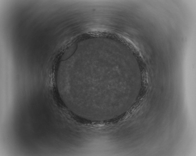 X0000100920965200807221112