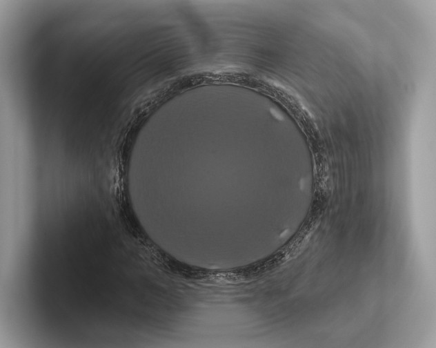 X0000100920966200807221112