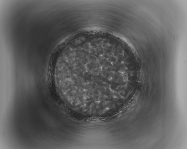 X0000100920967200807221112