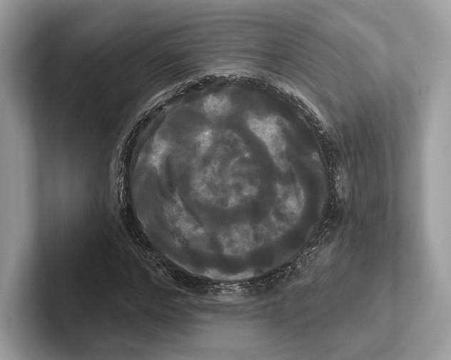 X0000100920968200807221112