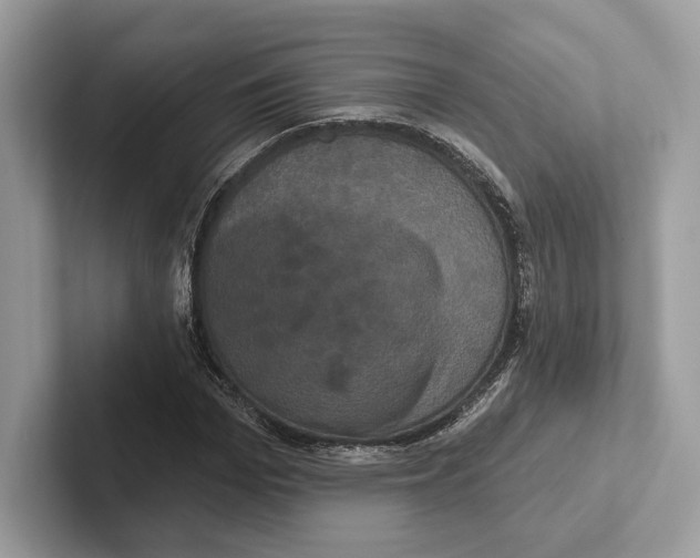X0000100920969200807221112