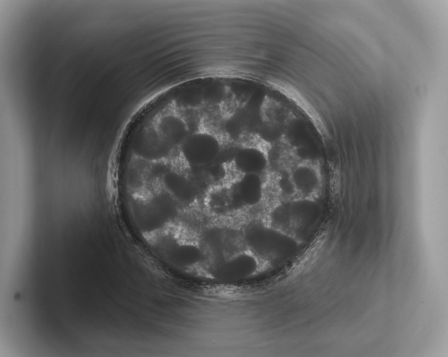 X0000100920971200807221112