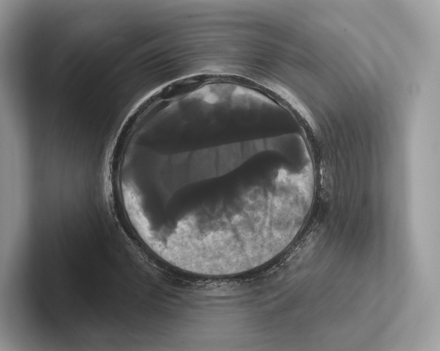 X0000100920972200807221112
