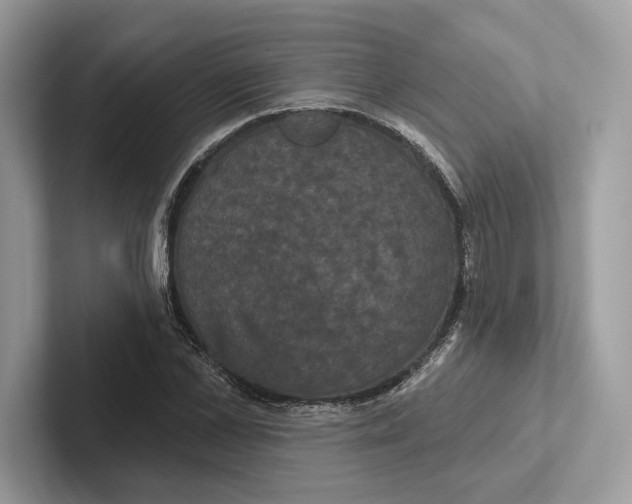 X0000100920973200807221112
