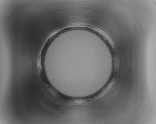 X0000100920974200807221112