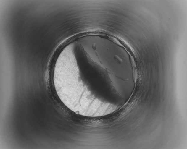 X0000100920975200807221112