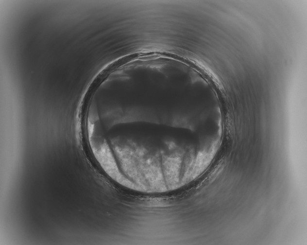 X0000100920976200807221112