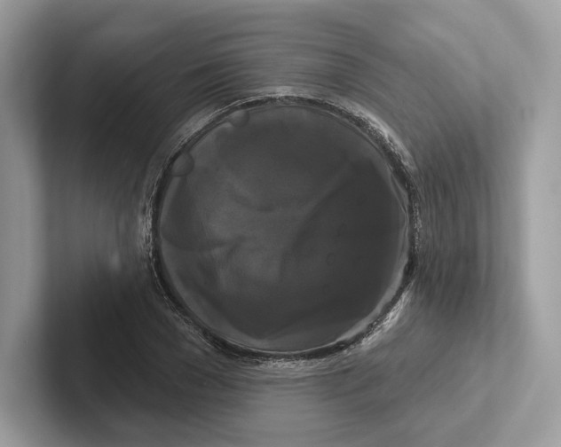 X0000100920977200807221112