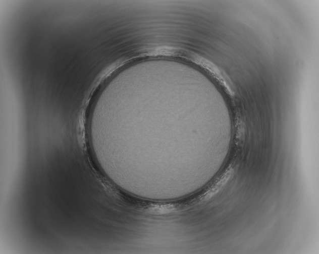 X0000100920978200807221112