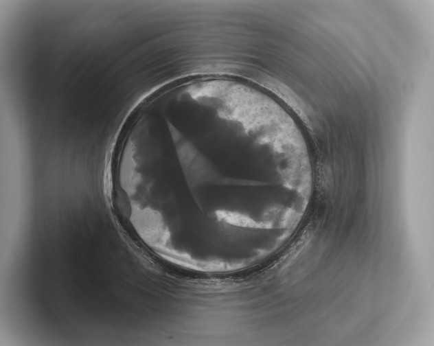 X0000100920980200807221112