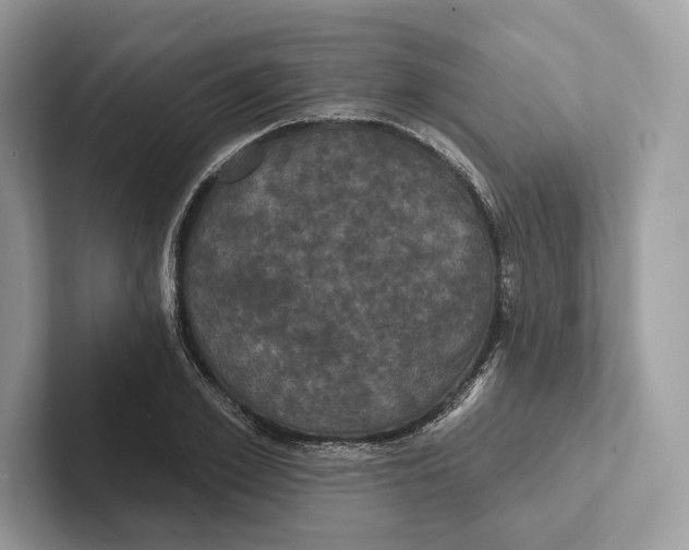 X0000100920981200807221112