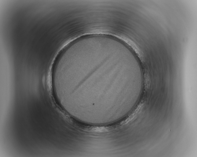 X0000100920982200807221112
