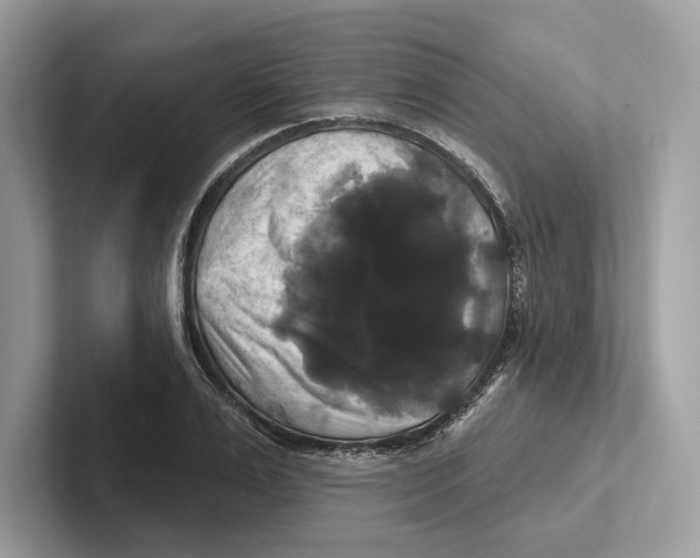 X0000100920983200807221112