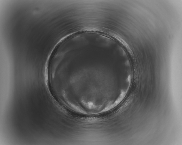 X0000100920984200807221112