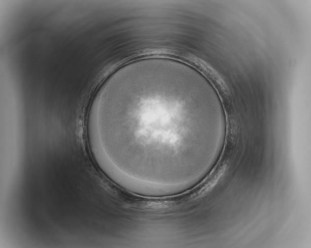 X0000100920985200807221112