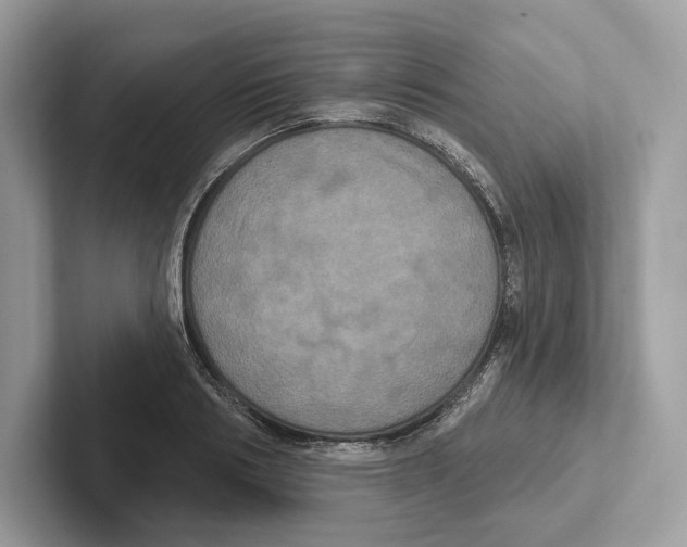 X0000100920986200807221112