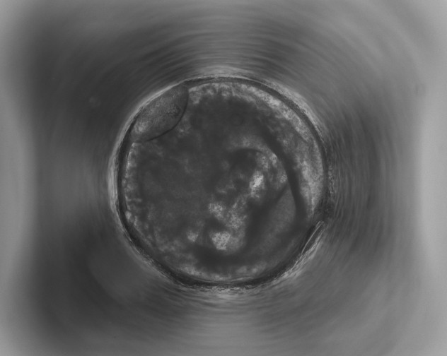 X0000100920987200807221112