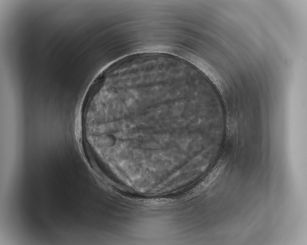 X0000100920988200807221112