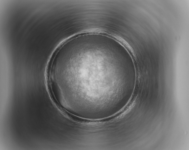 X0000100920989200807221112