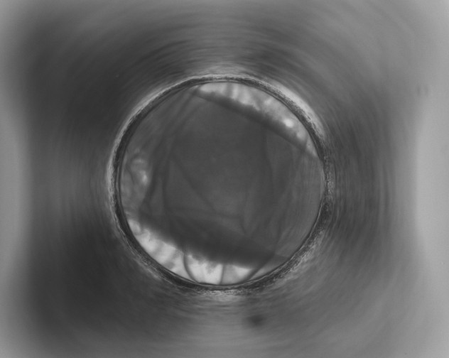 X0000100920990200807221112