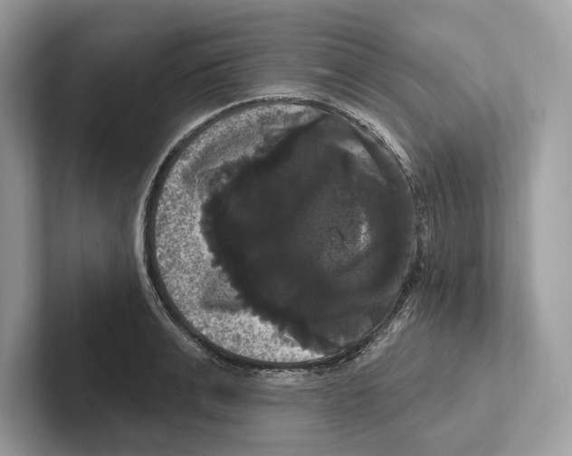 X0000100920991200807221112
