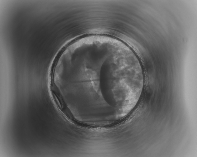 X0000100920992200807221112