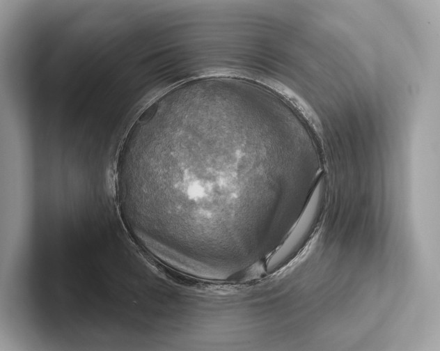 X0000100920993200807221112