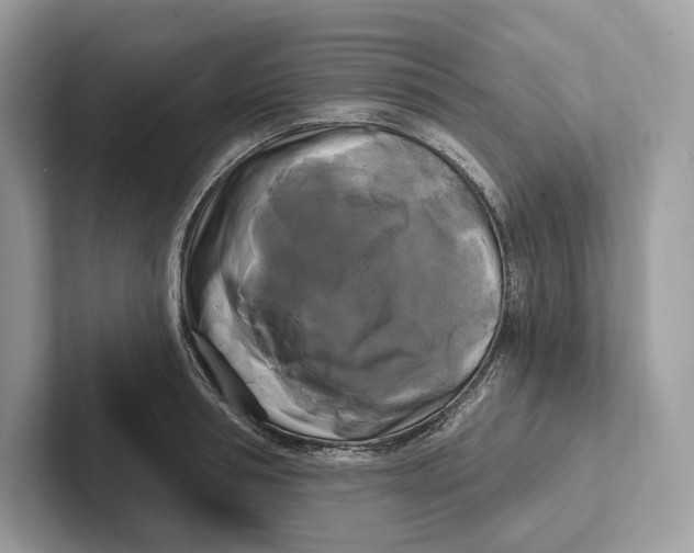 X0000100920994200807221112
