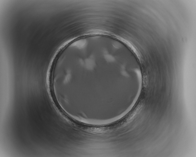 X0000100920995200807221112