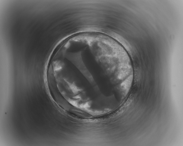 X0000100920996200807221112