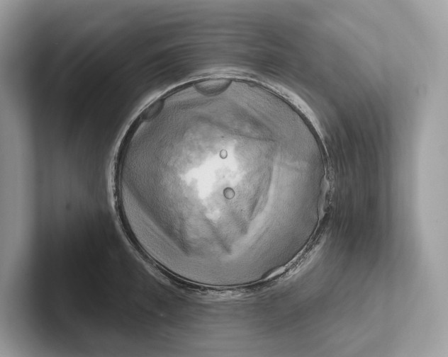X0000100920997200807221112