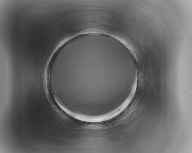 X0000100920998200807221112