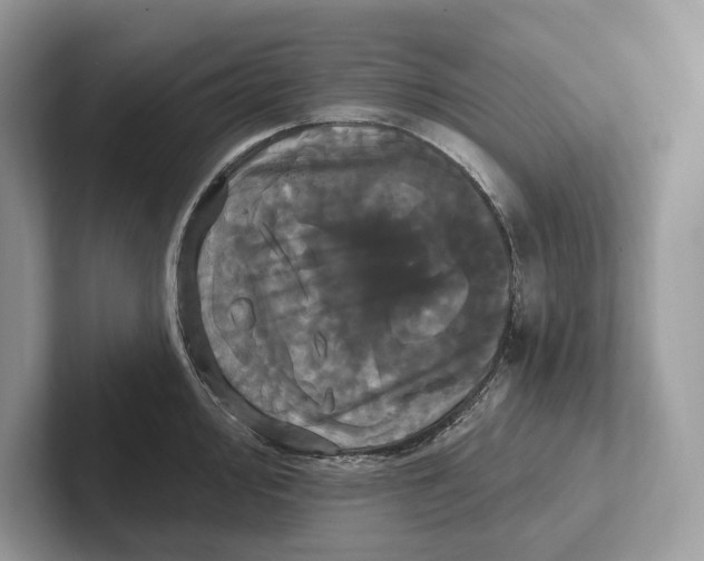 X0000100921000200807221112