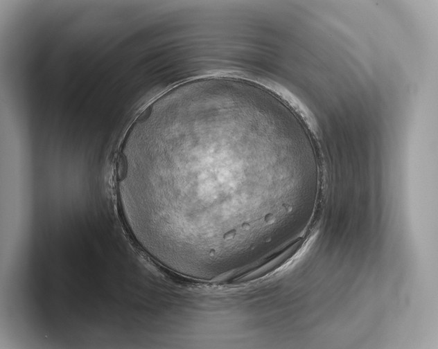 X0000100921001200807221112