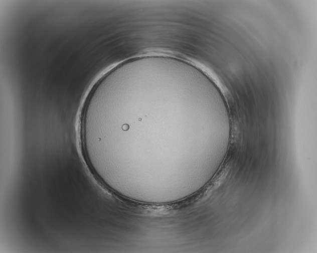 X0000100921003200807221112
