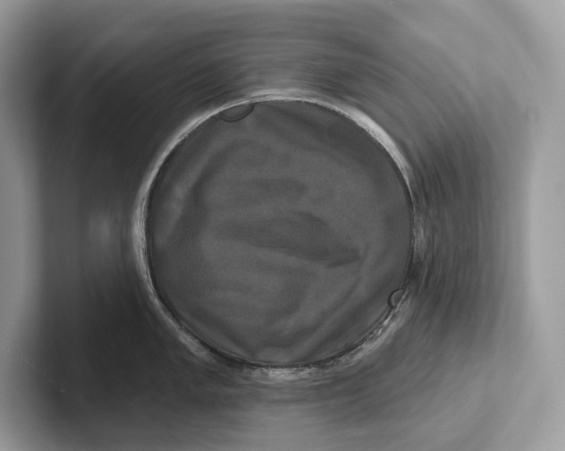 X0000100921005200807221112