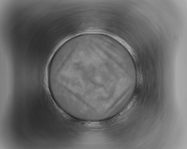 X0000100921006200807221112