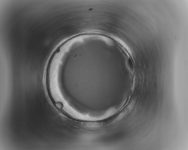 X0000100921007200807221112