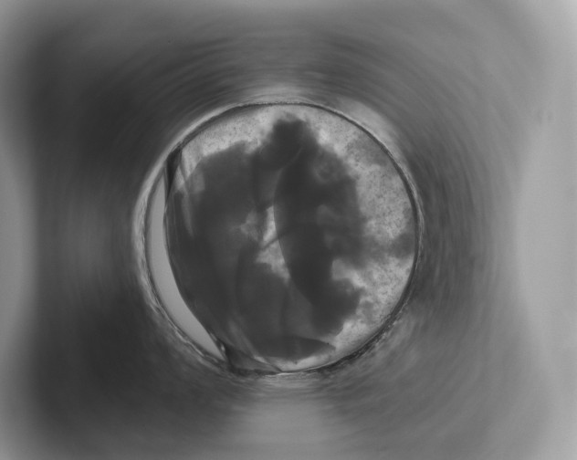 X0000100921008200807221112