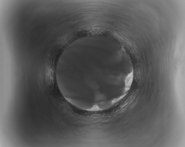 X0000100921010200807221111