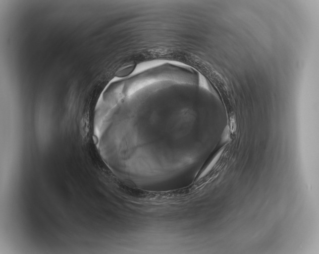 X0000100921011200807221111